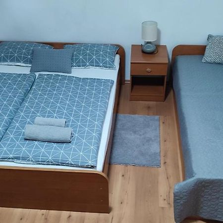 Apartments Vidos Drežnik Grad Eksteriør billede