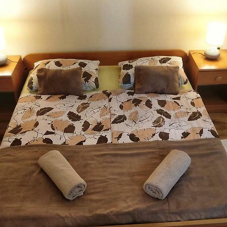 Apartments Vidos Drežnik Grad Eksteriør billede
