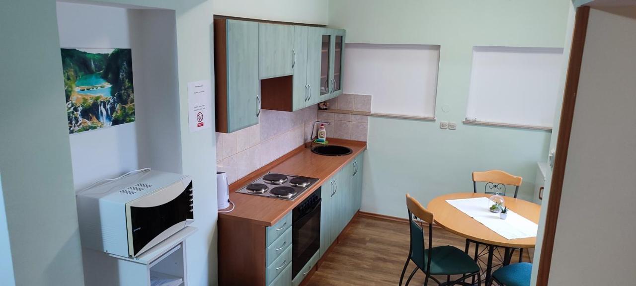 Apartments Vidos Drežnik Grad Eksteriør billede